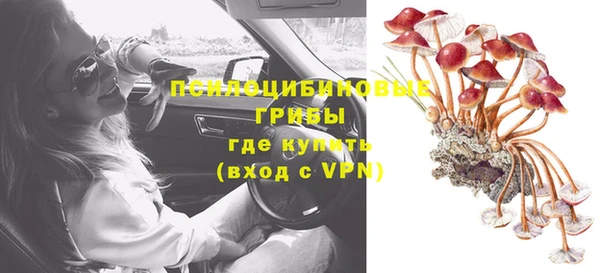 молекула духа Дмитров