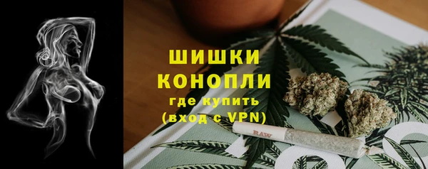 apvp Дмитриев