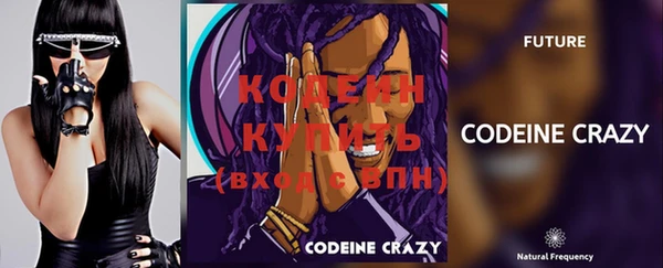 apvp Дмитриев