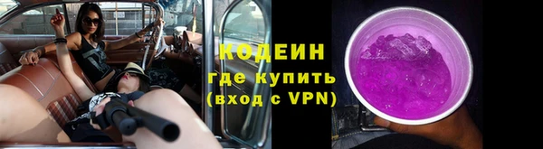 apvp Дмитриев