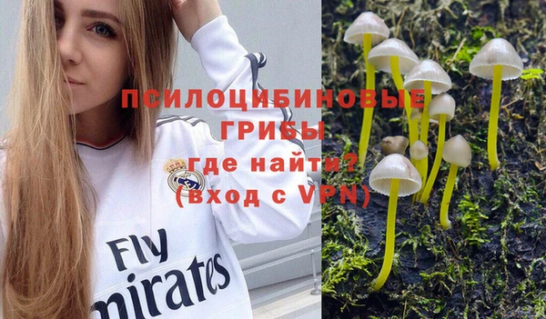молекула духа Дмитров