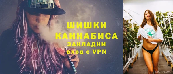 apvp Дмитриев
