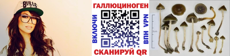 Купить закладки  Красный Кут  Псилоцибиновые грибы MAGIC MUSHROOMS 